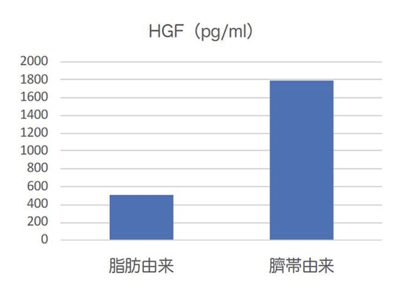 ヒト幹細胞培養上清液点滴